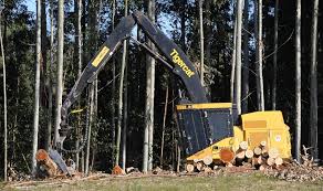 cadena forestal maderera