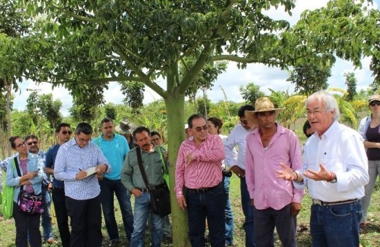 forestal mexico