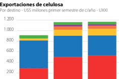 exportacion celulosa