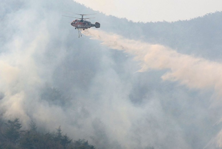 incendios forestales en Corea del Sur