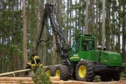 ley forestal la superficie con bosques3