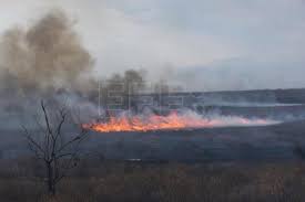 Argentina controlados incendios en el delta