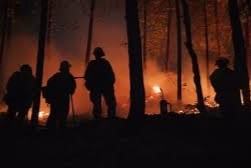 Incendio en cercanías del ex Mirador de Aves7