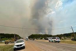 MGAP incendios