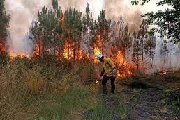 afectado incendios