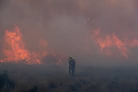 bariloche el incendio forestal