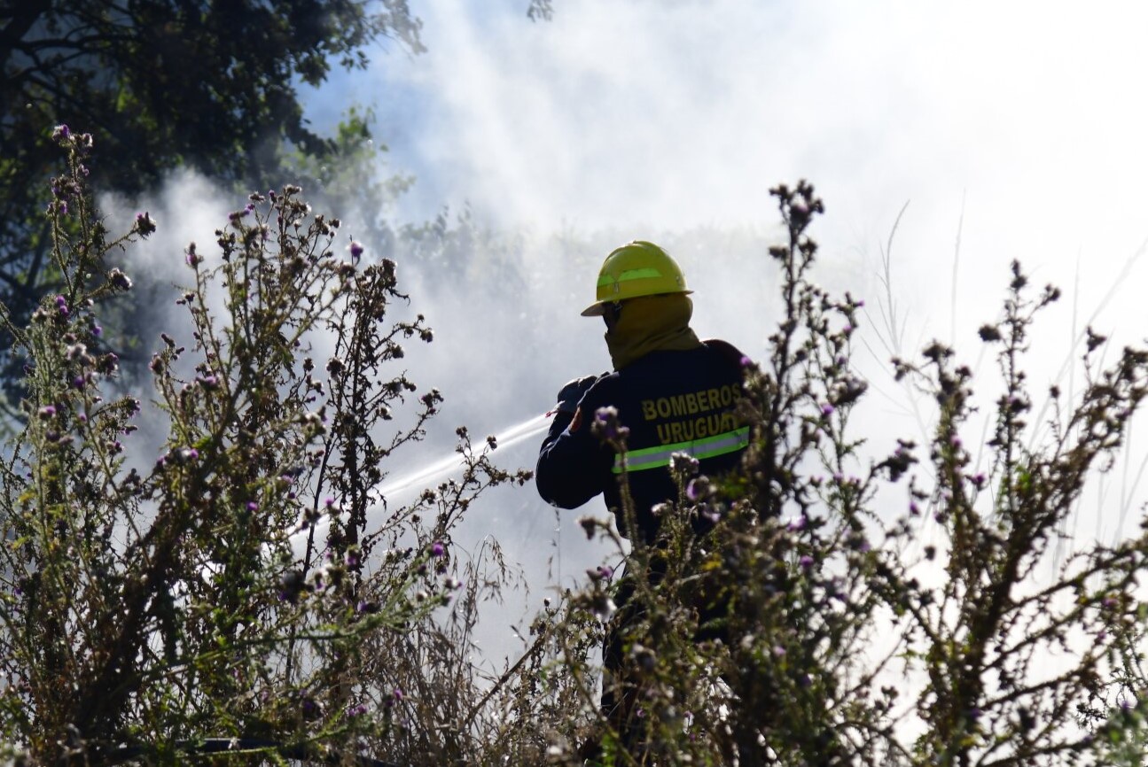 bombero incendio