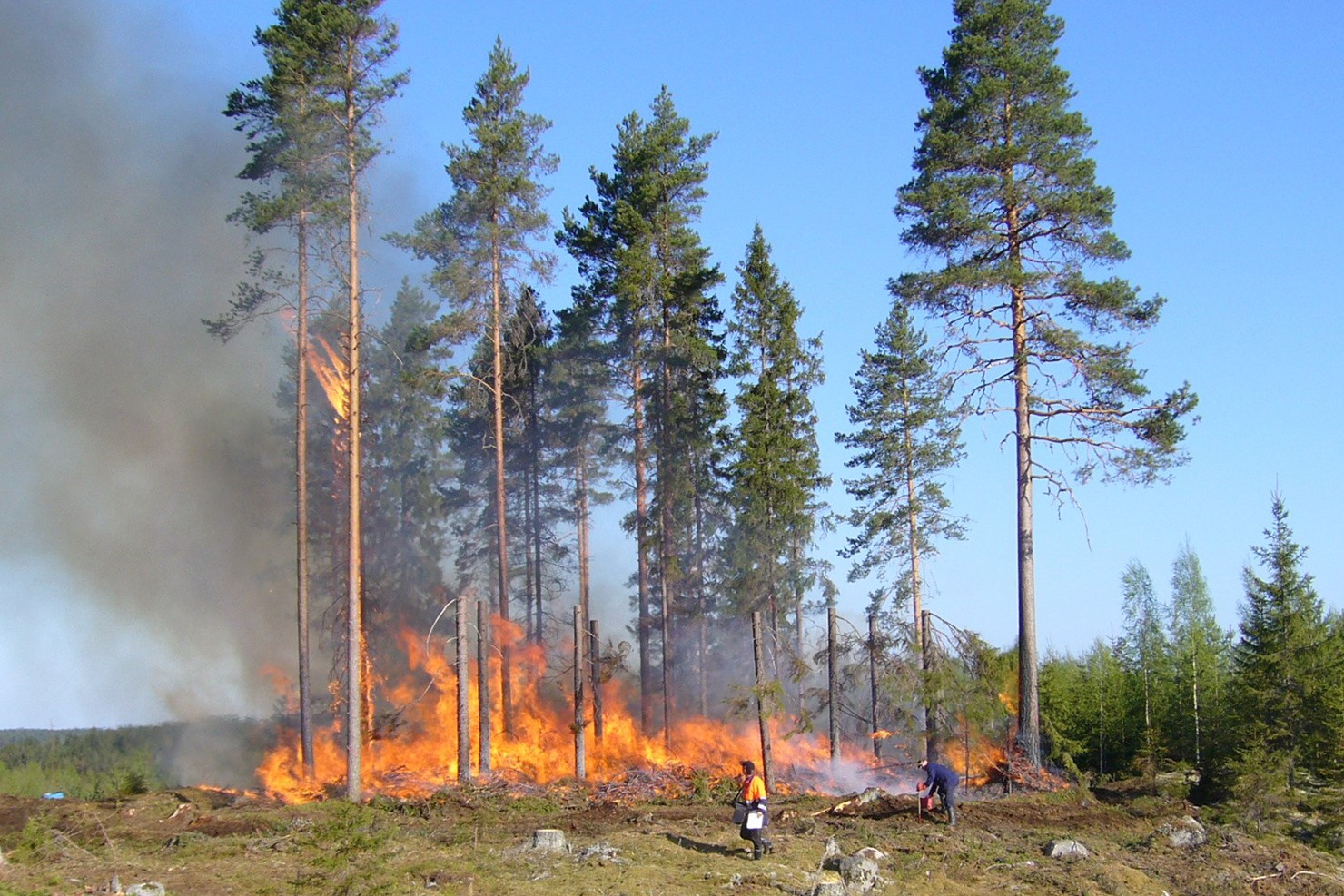 controlled burning