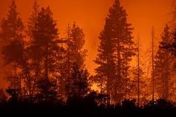 el primer megaincendio California