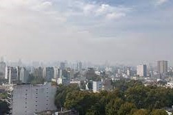 humo de incendio forestal