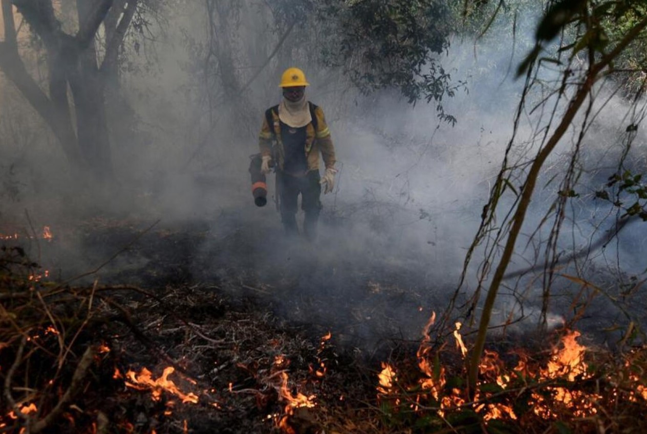 incendio brasil