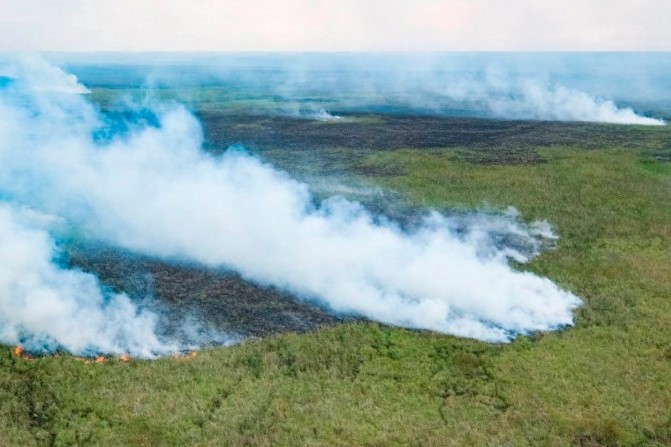 incendio campo