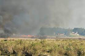 incendio laguna del diario