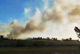 incendio san carlos