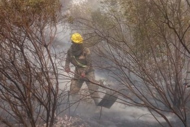 incendio serranía