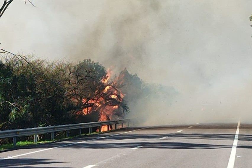 incendio en bañado