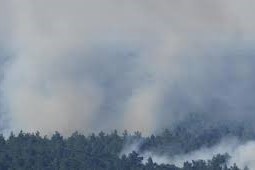 incendio en un bosque de Berlín