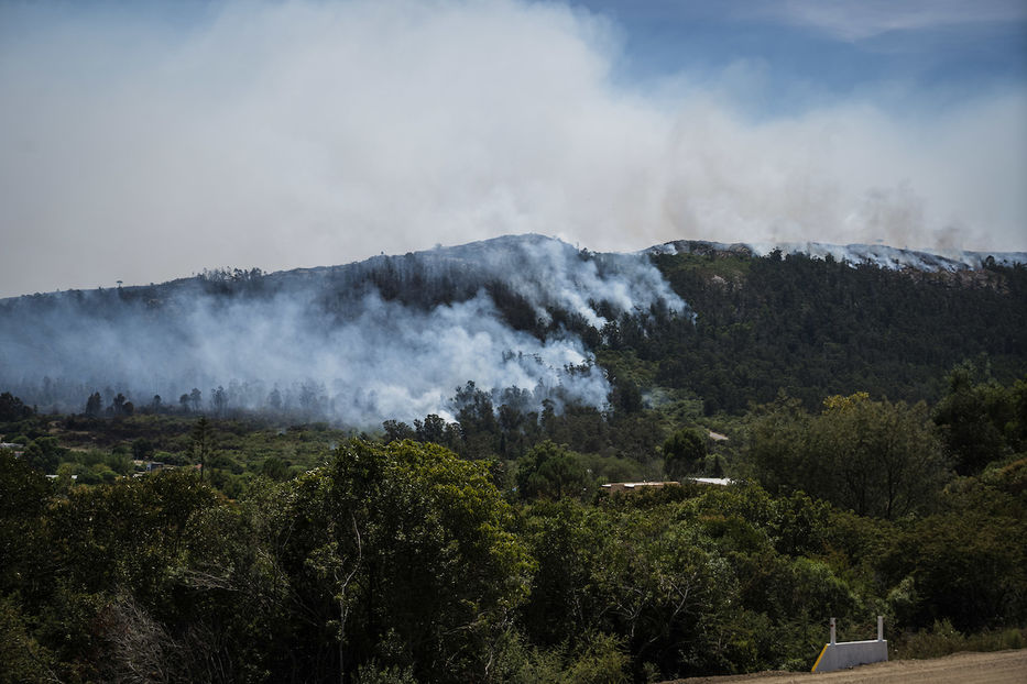 incendios forestales verano