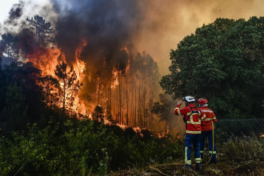 incendios forestales 4