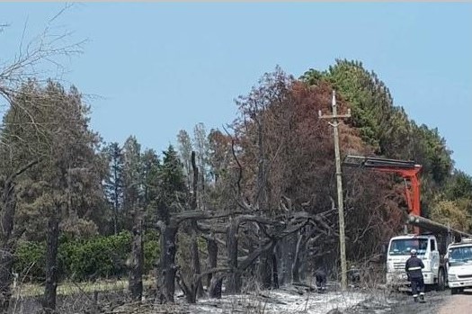 ute afectacion de incendios