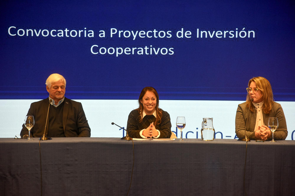 inversores