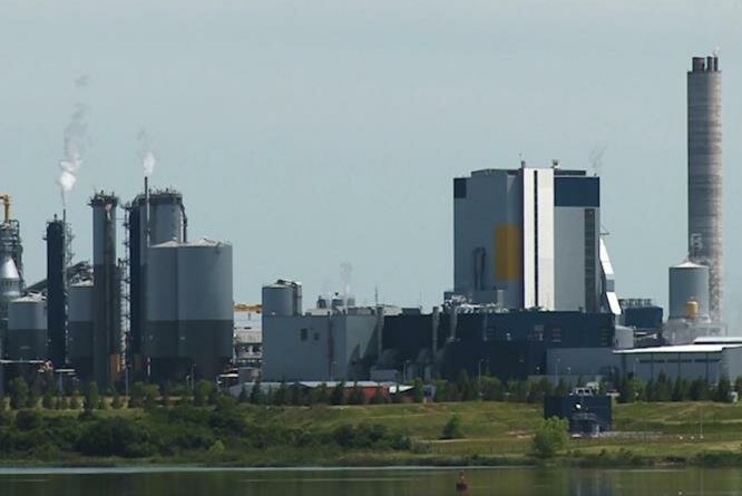 UPM conflicto en Uruguay