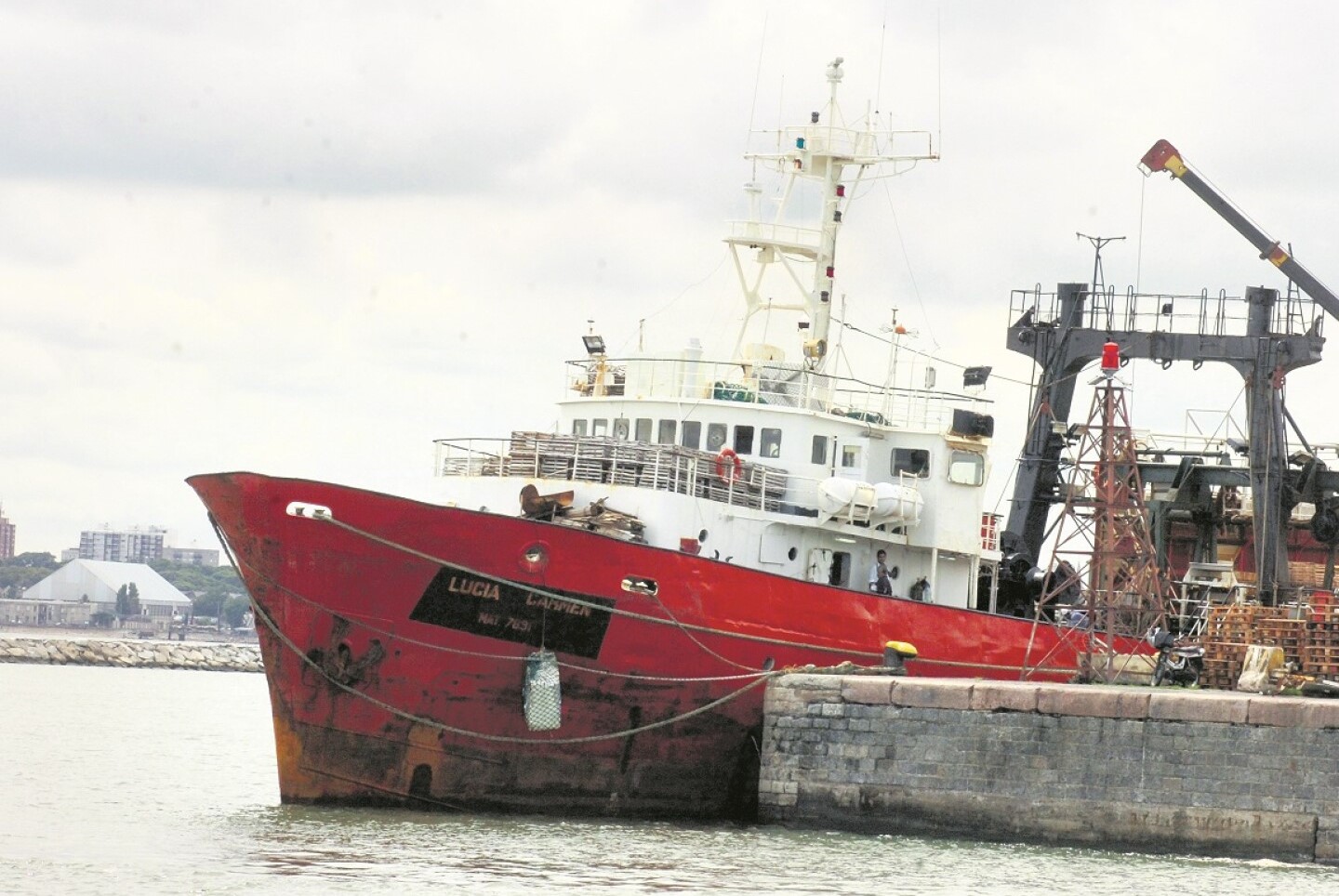 operadores marítimos