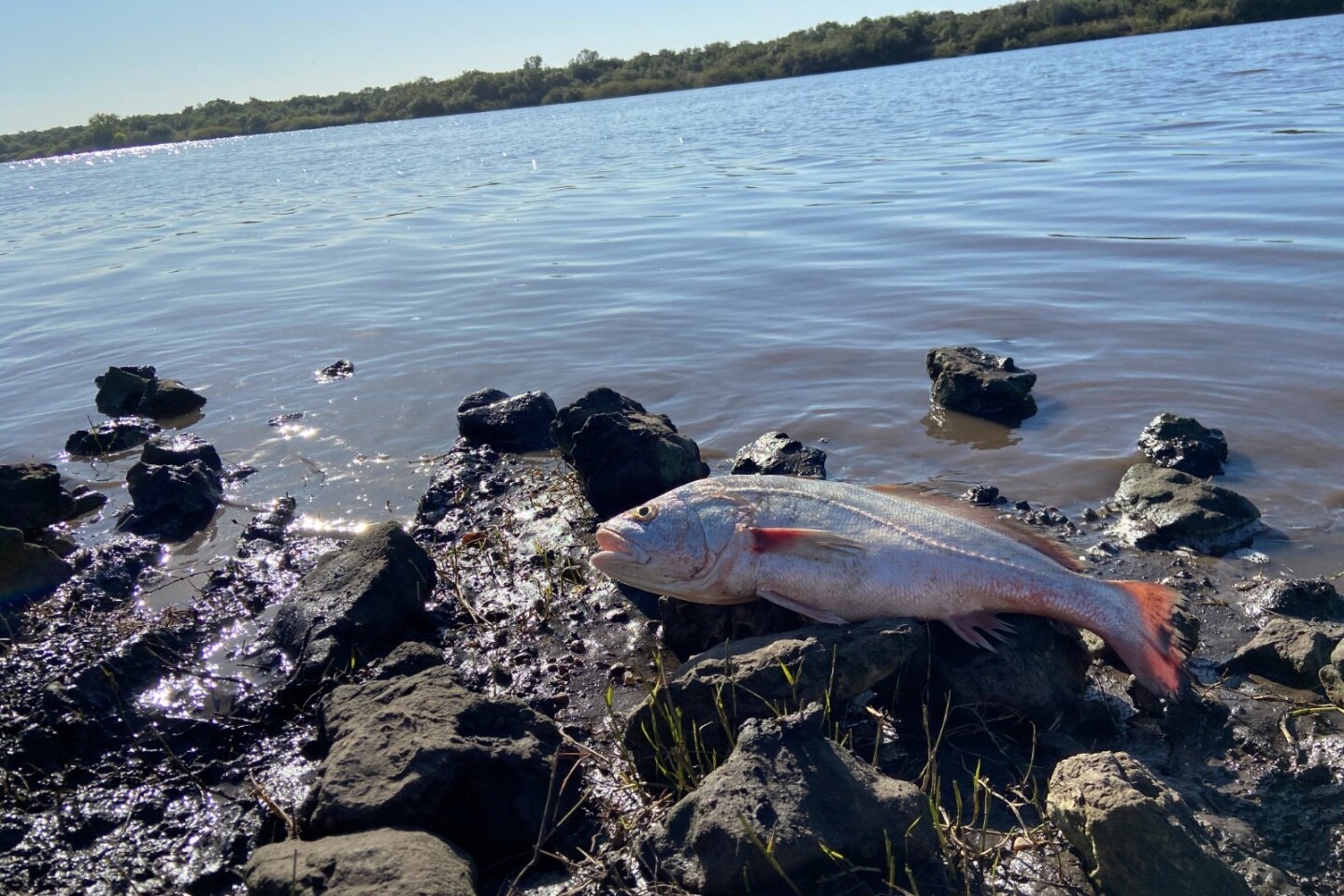 Río Queguay