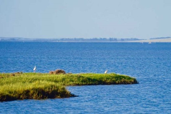 laguna merin